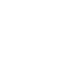 STARGIU_BRANDBOOK (3)